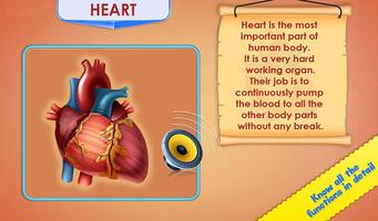 Human Body Parts اسکرین شاٹ 2