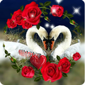 Flowers Wishes 2020 Gif