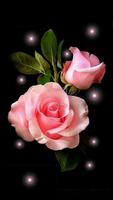 Roses and Flowers imagem de tela 2