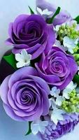 Roses and Flowers imagem de tela 3