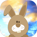 Easter bunny egg hunt APK