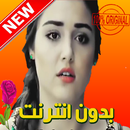 اغاني رومنسيه بدون نيت 2020 APK