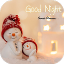 Romantic Good Night Images APK