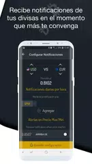 Descargar XAPK de Convertidor de Divisa y Moneda