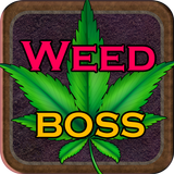 Weed Boss 圖標