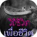 APK วิถีเพลงเพื่อชีวิต