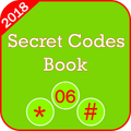 Secret Codes Book New