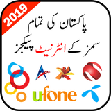All Network Internet Packages Pakistan icône