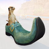 Meerkat Race