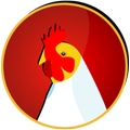 Bangladesh Poultry- Firm, Chic