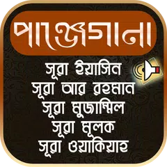 পাঞ্জেগানা - ফজিলতময় ৫ সূরা APK download