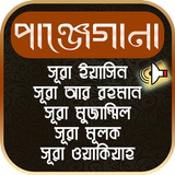 পাঞ্জেগানা icono