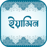 সূরা ইয়াসিন (অডিও তেলাওয়াত)