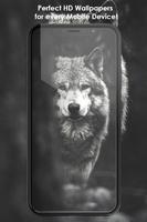 Animation Wolf Wallpapers Art 포스터