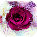 Flores Hermosas APK