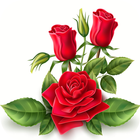 Amazing Flowers & Roses Images Gif Wallpaper icône