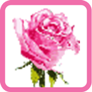 Rose Flower Pixel APK