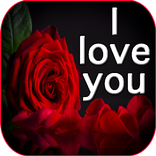 I love you flowers images GIF & rose HD wallpapers