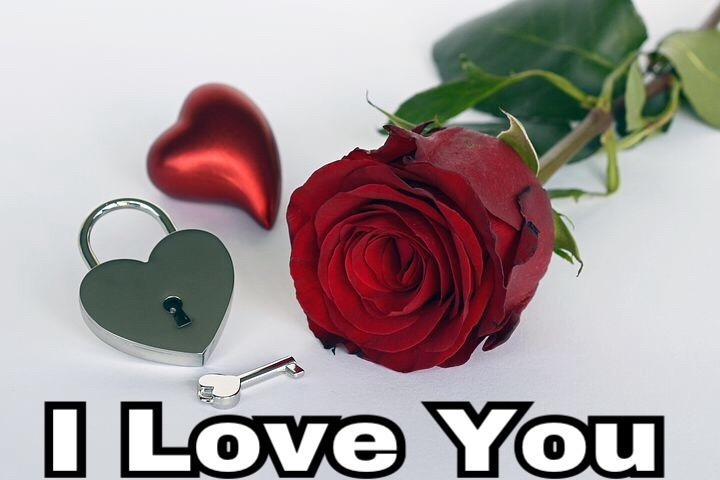 I Love You Flowers For Android Apk Download