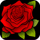 Rose Wallpaper HD APK