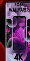 all rose wallpaper HD (4k) captura de pantalla 2
