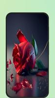 rose flower images পোস্টার