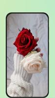 rose flower images স্ক্রিনশট 2