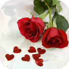 rose love images icon