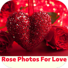 rose photos for love icône