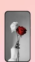 rose picture स्क्रीनशॉट 2
