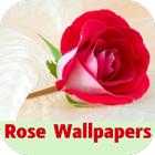 rose wallpapers icône
