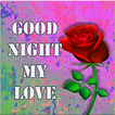 ikon Goodnight My Love