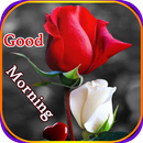 Roses and Flowers Images Gif, Good Morning My Love APK