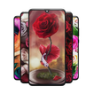Rose Wallpapers: Red, Pink, Orange Rose Wallpapers