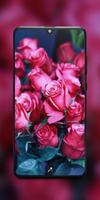 Rose Wallpapers: Red, Pink, Orange Rose Wallpapers Affiche