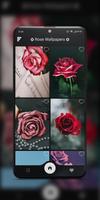 برنامه‌نما Rose Wallpapers: Red, Pink, Or عکس از صفحه