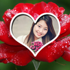 Rose Frame APK