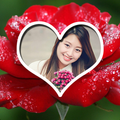 Rose Frame