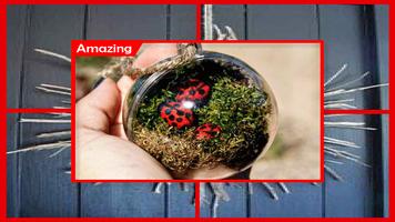 برنامه‌نما Best Nature Themed Christmas Ornaments عکس از صفحه