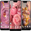Rose Gold Wallpapers icon