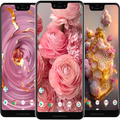 Rose Gold Wallpapers