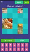 Guess The Face Memory Game اسکرین شاٹ 3