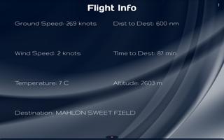 Flight Info الملصق
