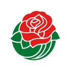 2025 Rose Parade icono