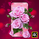 Rose Parallax 4K Wallpapers APK