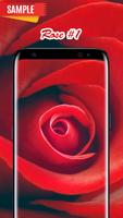 Rose Wallpaper poster