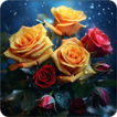 Rose flower wallpapers offline