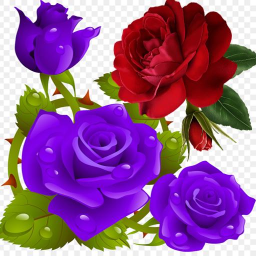 Flower Rose Live Wallpaper Gif APK  for Android – Download Flower Rose  Live Wallpaper Gif XAPK (APK Bundle) Latest Version from 
