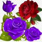 Flower Rose Live Wallpaper Gif simgesi