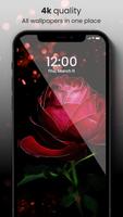 🌹 Rose Wallpaper 2021 4K HD - Rose Backgrounds 🌹 Affiche